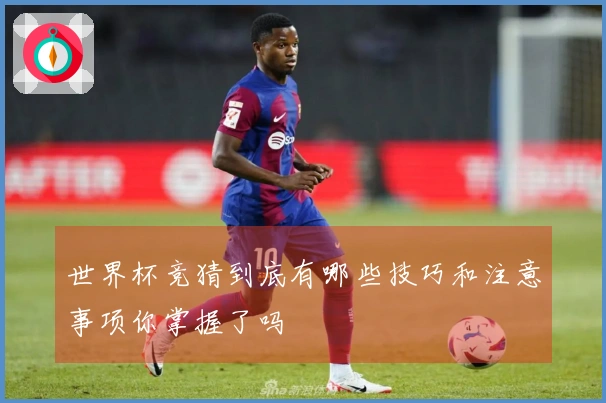 世界杯竞猜到底有哪些技巧和注意事项你掌握了吗
