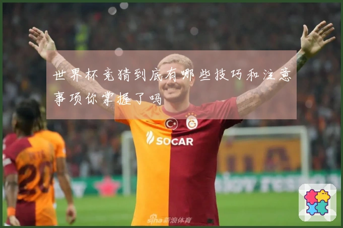 世界杯竞猜到底有哪些技巧和注意事项你掌握了吗