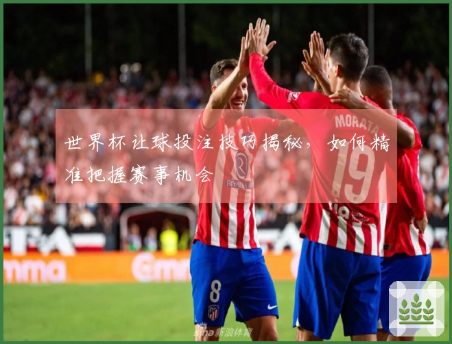 世界杯让球投注技巧揭秘，如何精准把握赛事机会